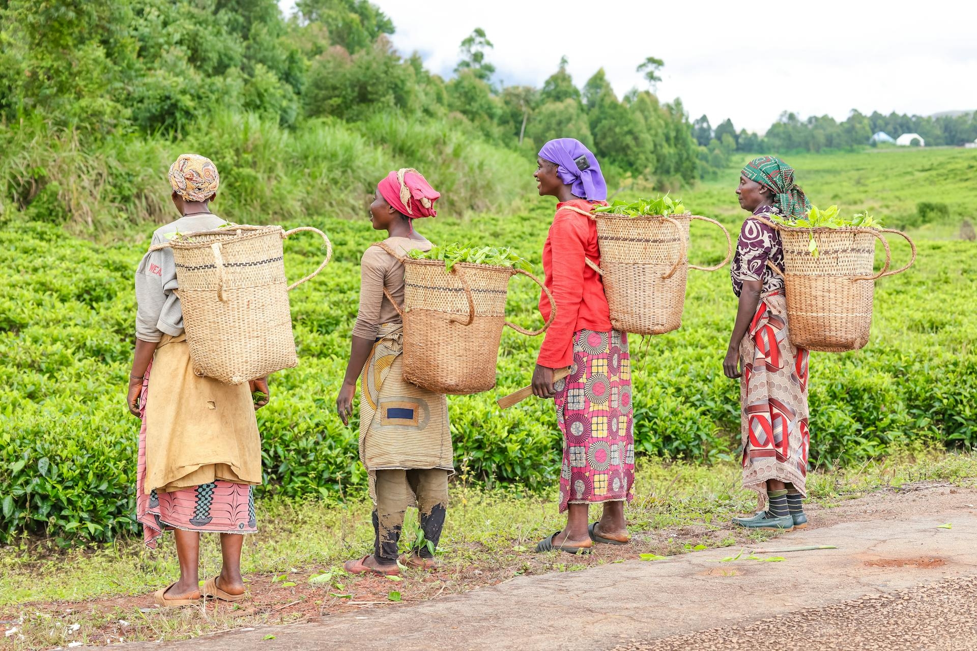 Provide Health Insurance for Rural Women Farmers