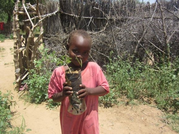Community Tree Nursery for Darfur Village