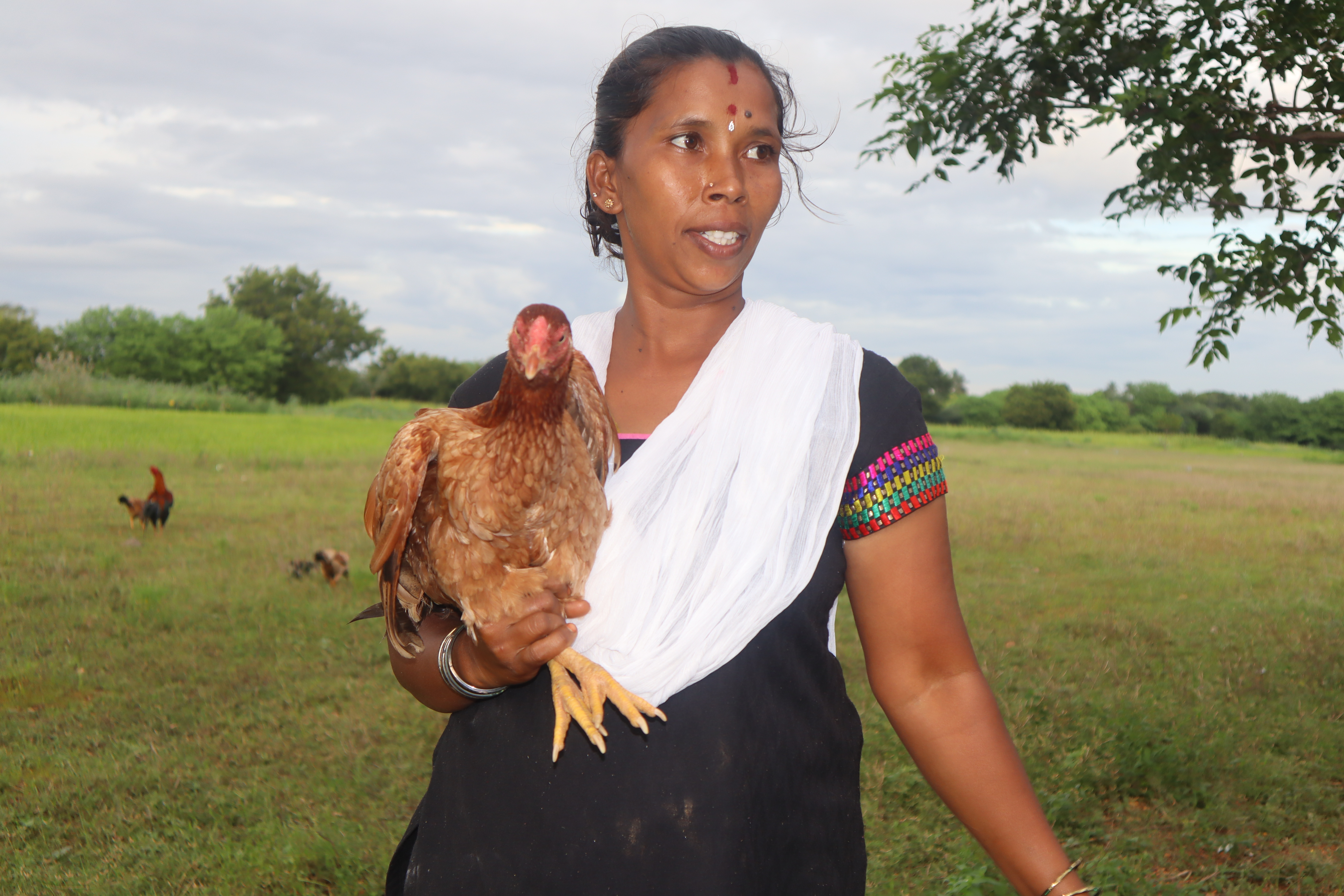 1000 Women-1000 Chicken Units-1 Stronger Community