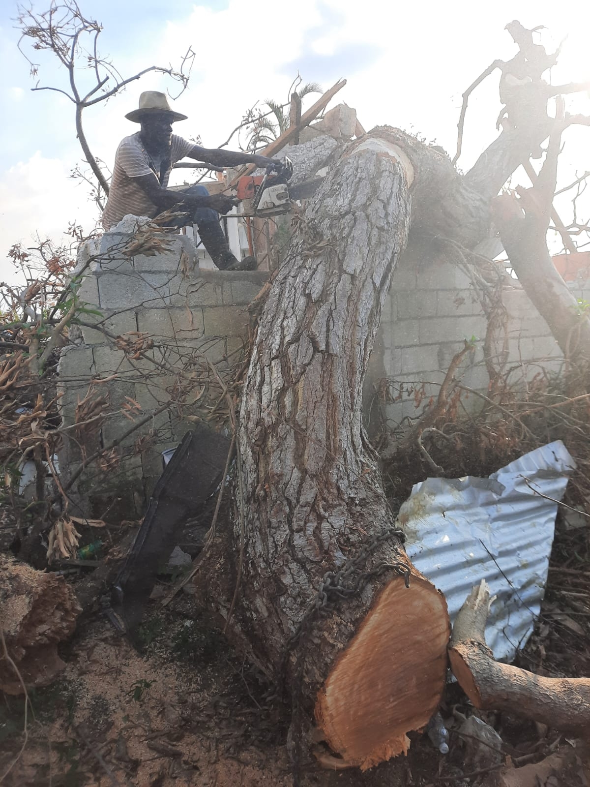 One Caribbean, One Cause Aiding Jamaica's Plight!