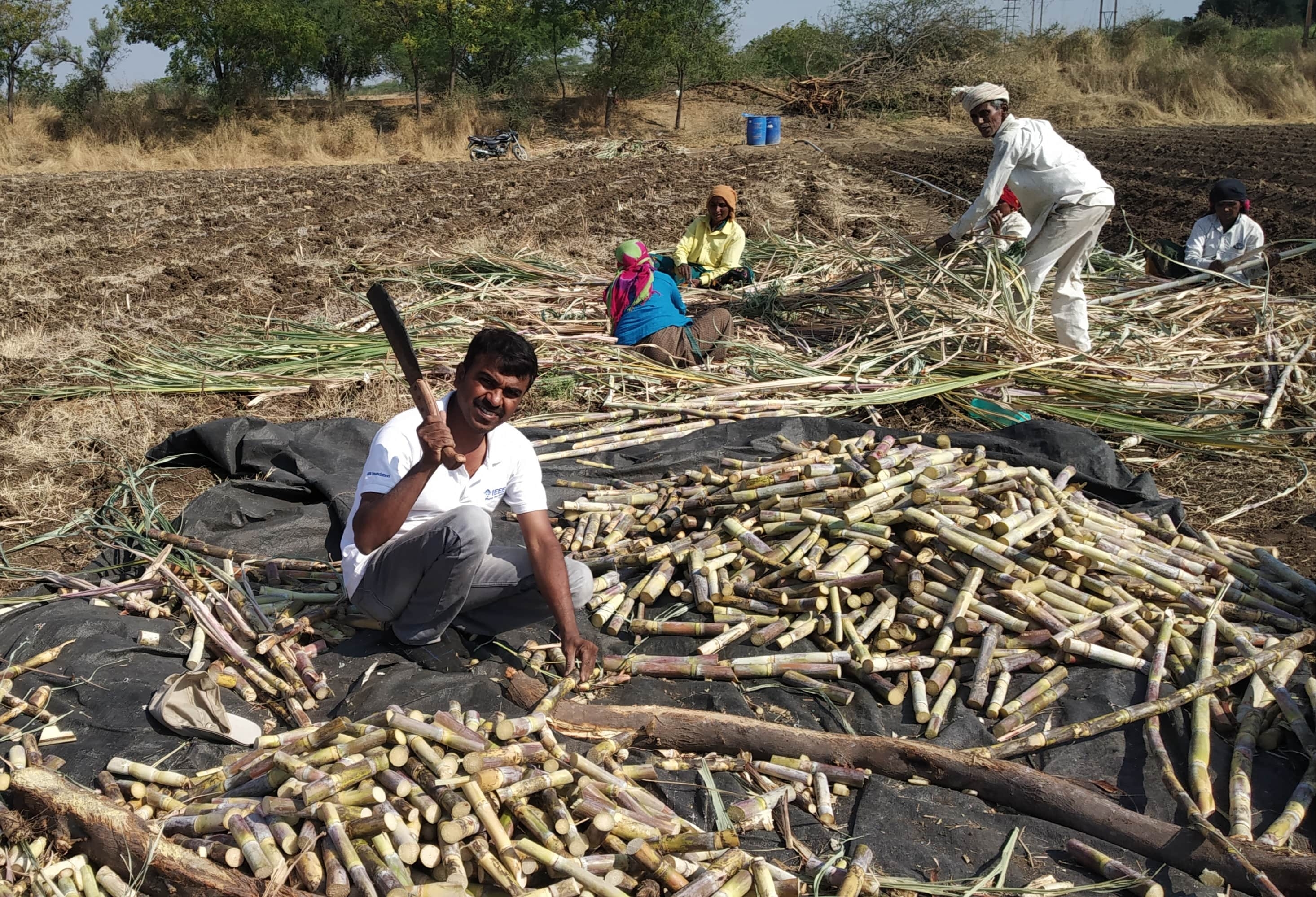 Empower Generation Green For Climate Initiatives