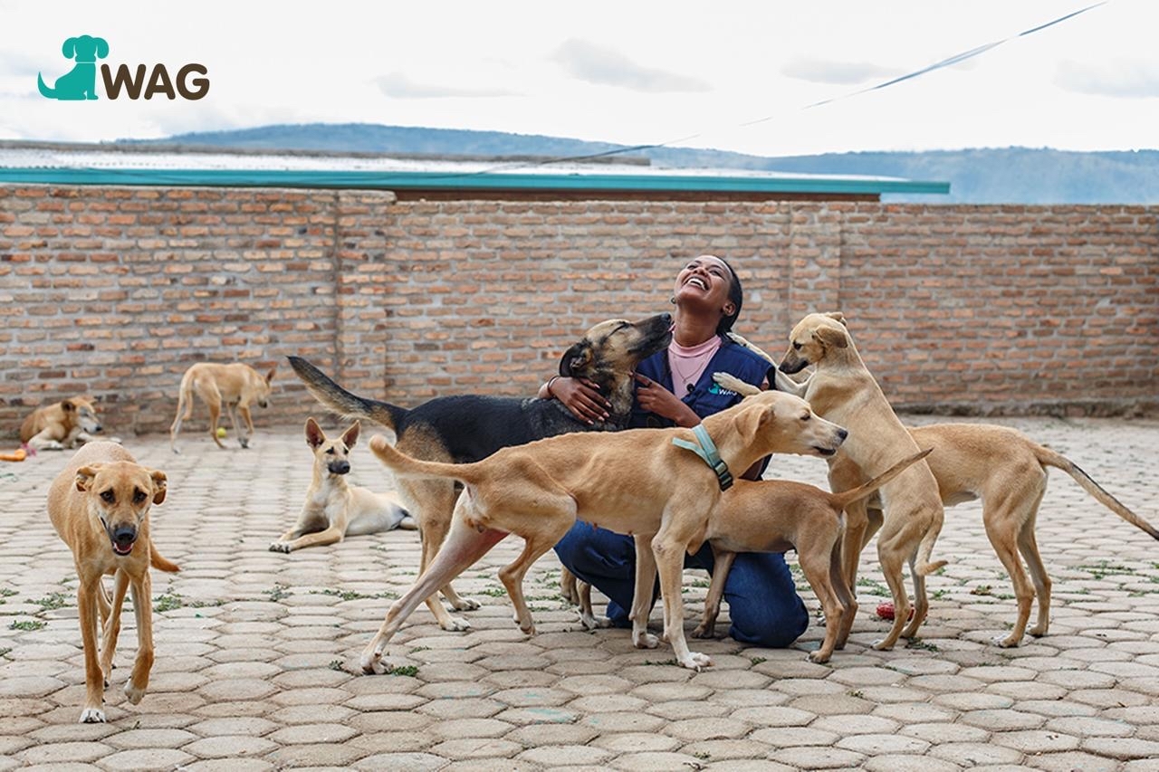 The WAG Centre Build Campaign