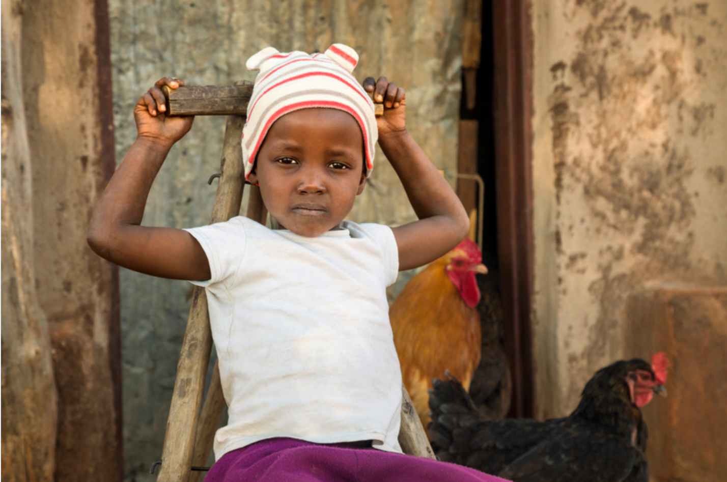 Chickens & Rabbits for a Kenyan Children's Home