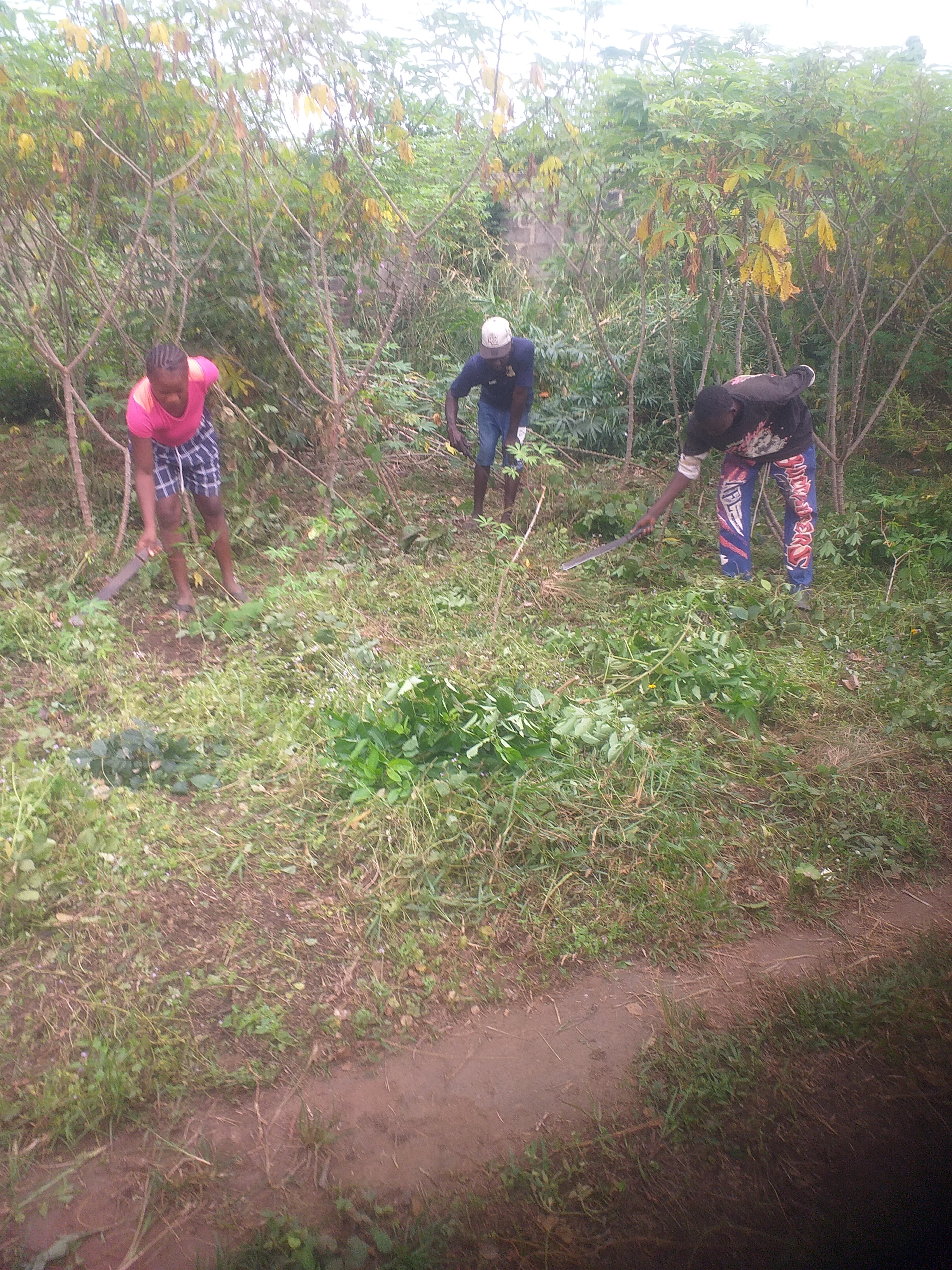 Eliminate hunger through youth farming