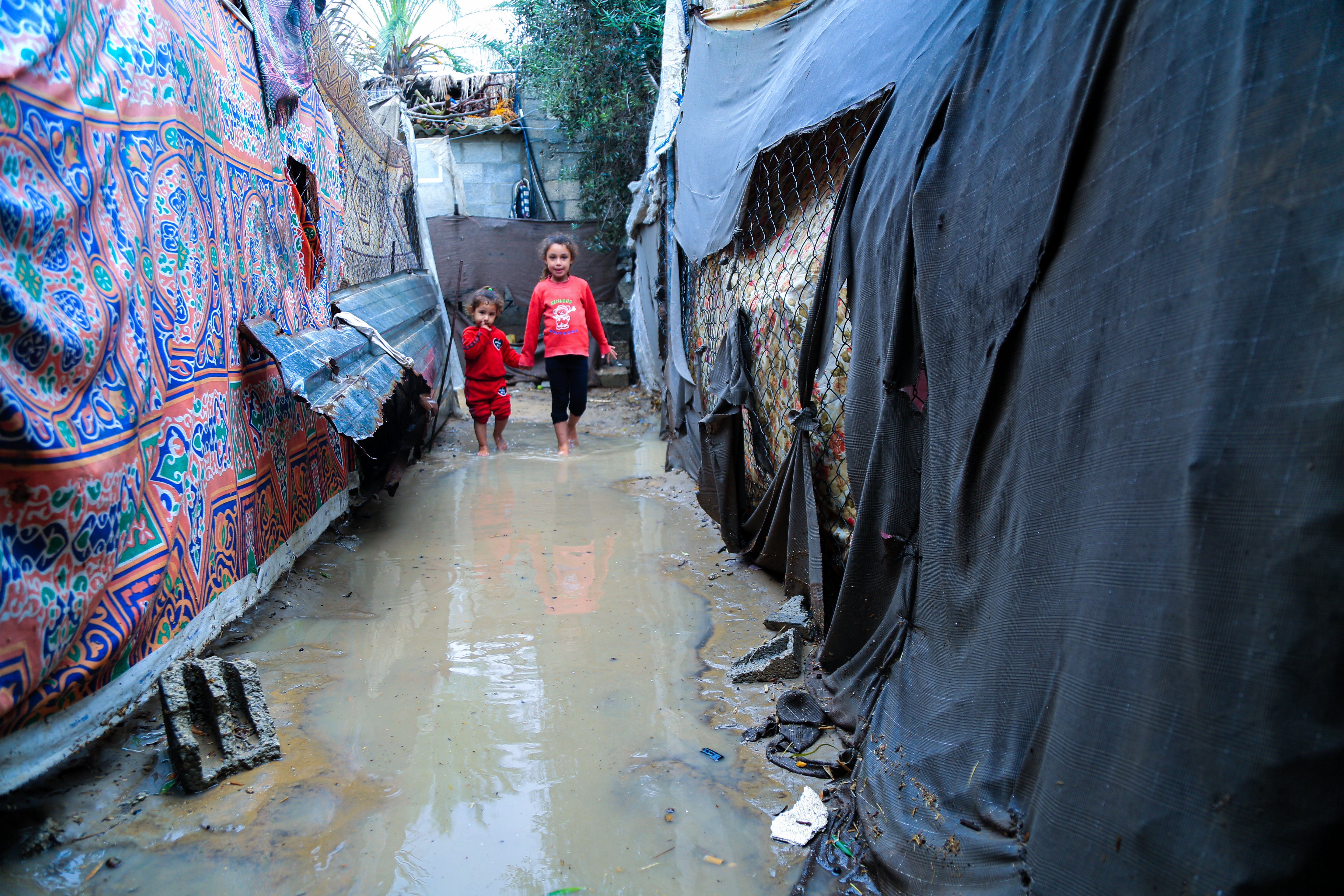 Giving Tuesday for Gaza - Share the Warmth