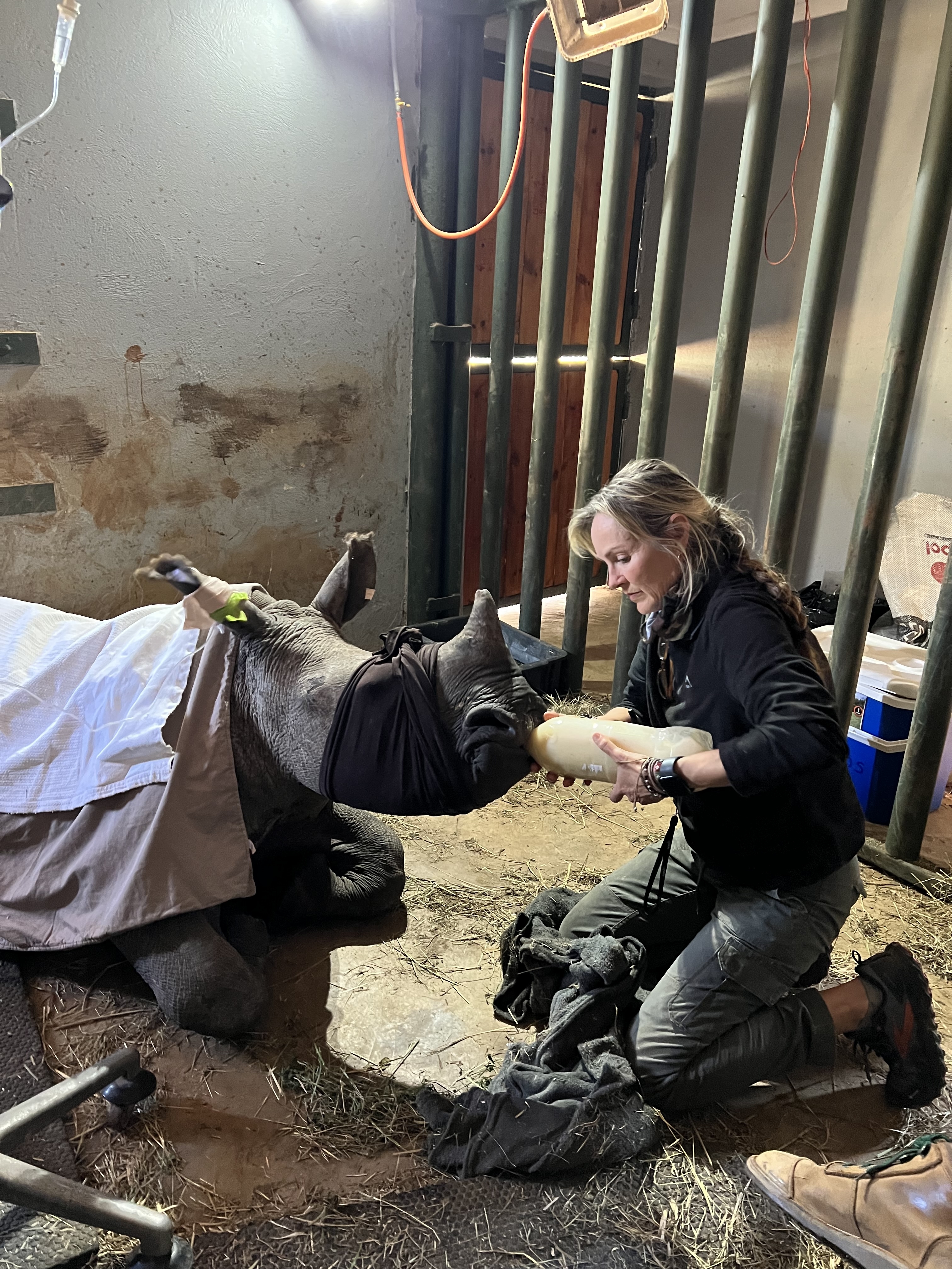 Save Orphaned & Injured Rhinos|Giving Tuesday 2025