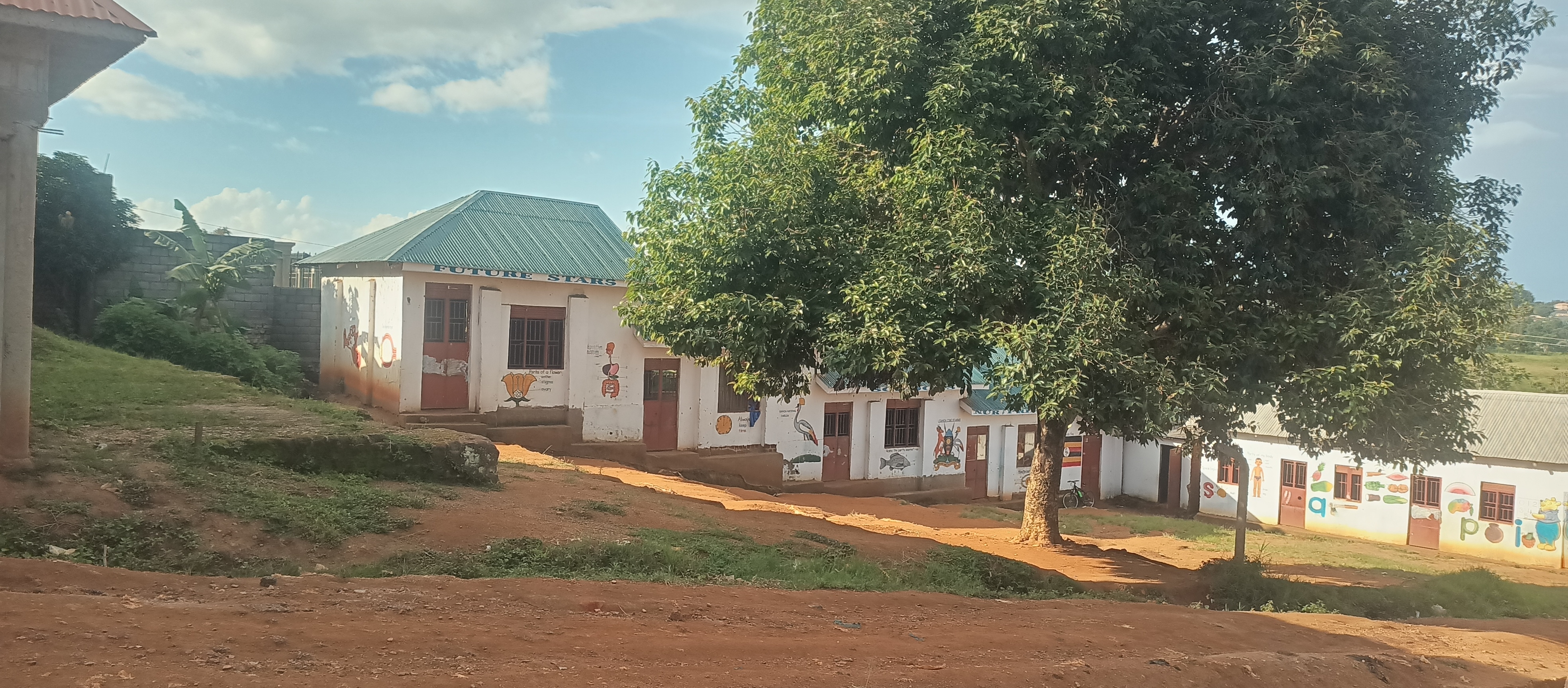 Fruit trees for 300 thriving children