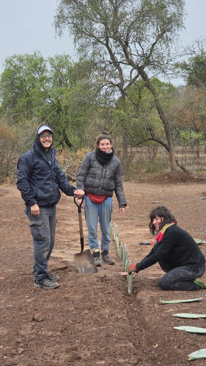 Cactus Harvests, Stronger Families in Piruaj Bajo