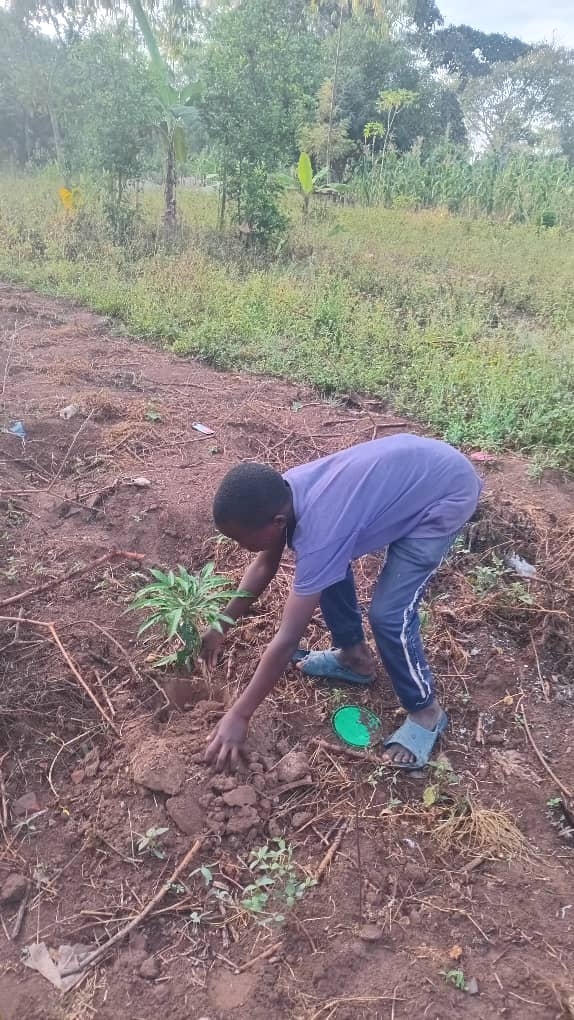 Children for a Greener Uganda