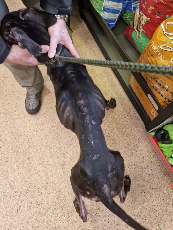 ***URGENT APPEAL FOR THIS POOR YOUNG BOY ***