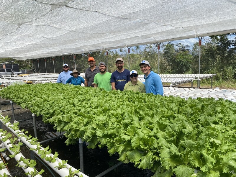 Strengthening Puerto Rico's Farmers & Food System