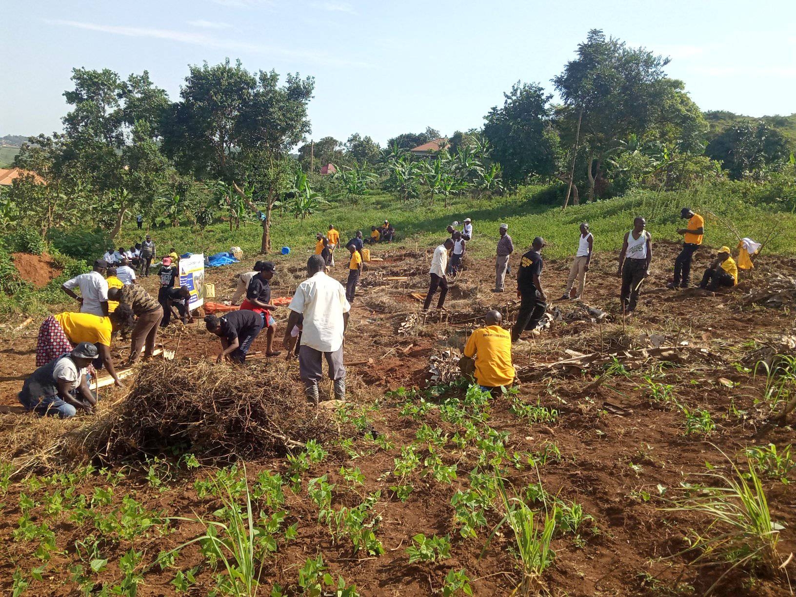 Support Community Planting Fruit Trees in Uganda