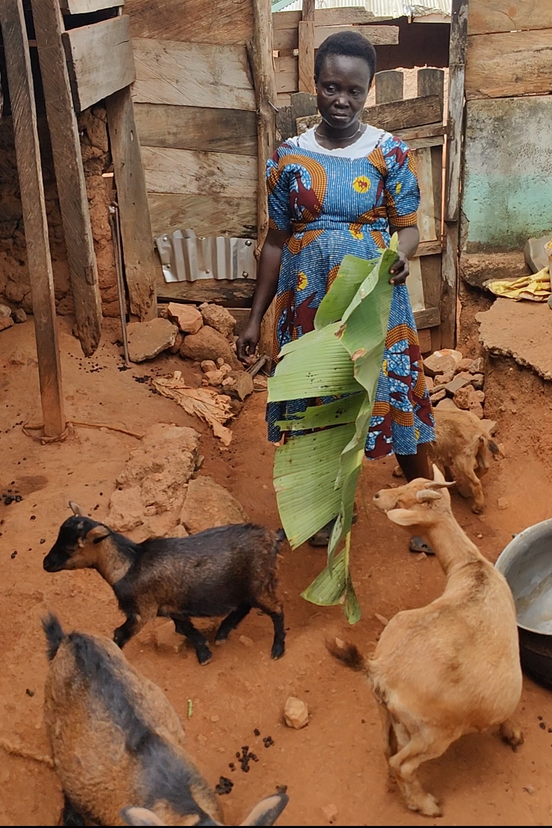 Women Goat Ranch For A Sustainable Livelihood