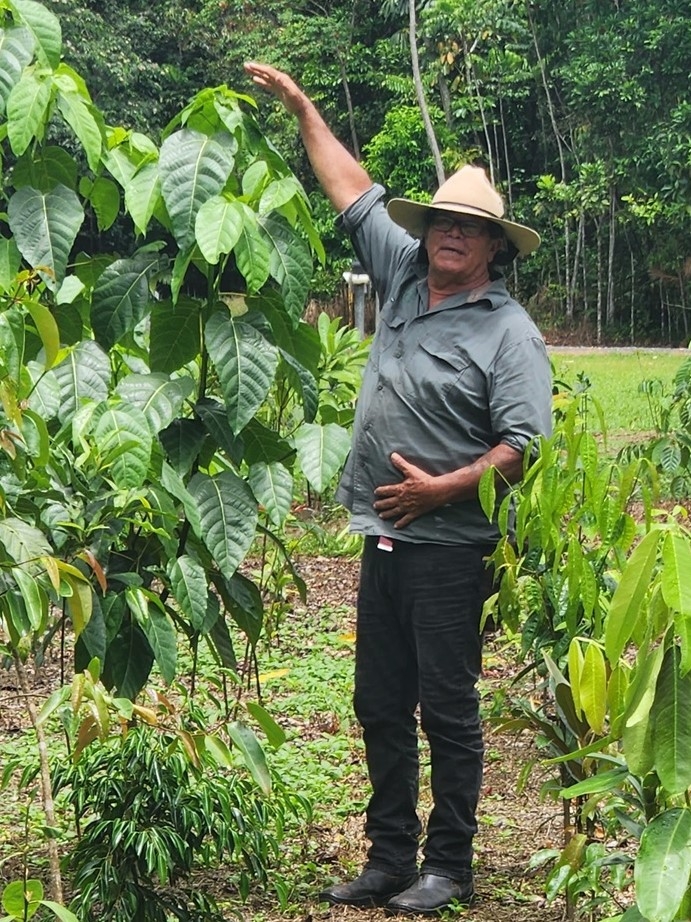 Cassowary Corridor - Wet Tropics of Far North Qld