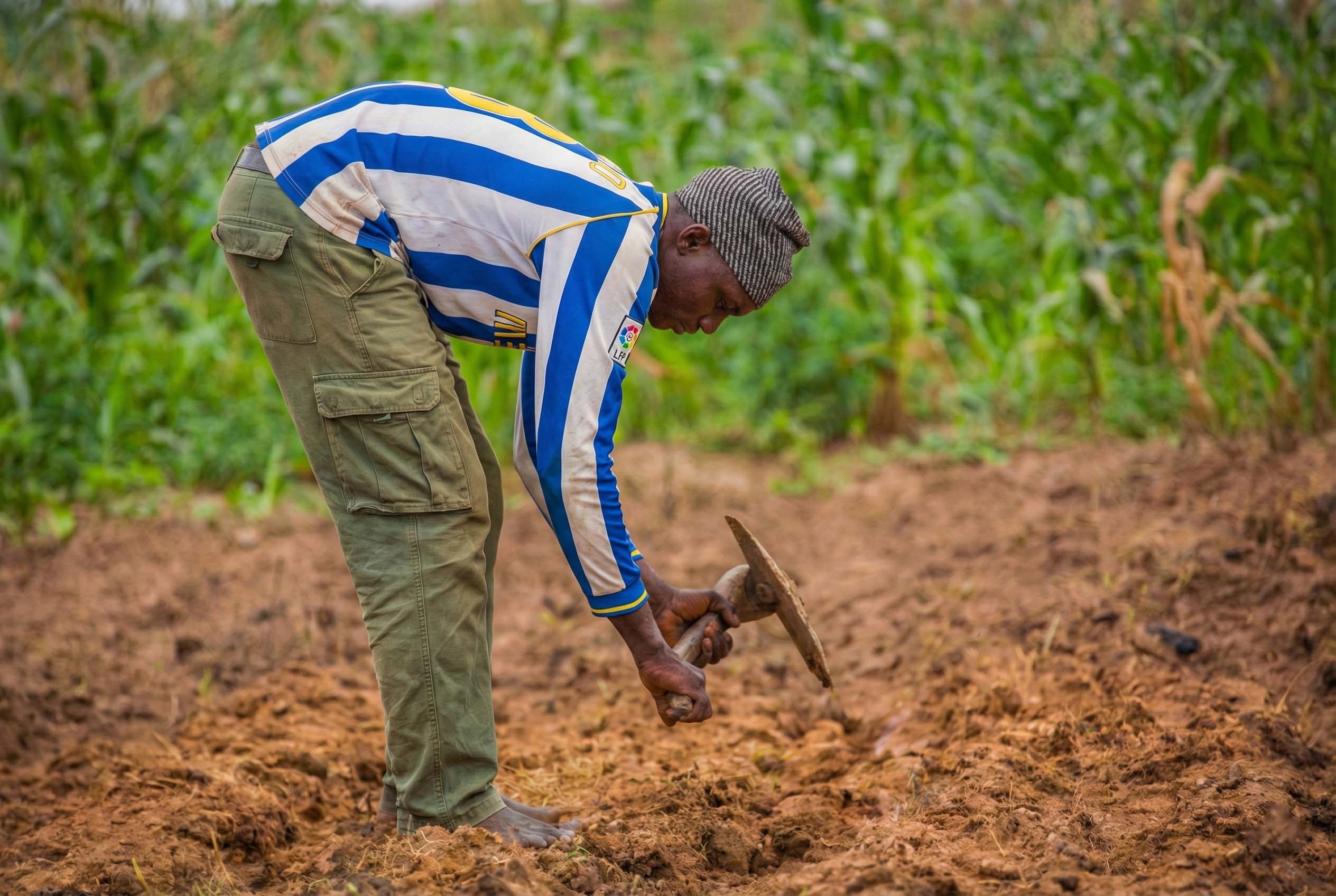 Agricultural Support for 150 Farmers in Niger