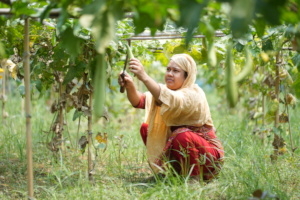 Zakat for Migrant Women's Economic Empowerment