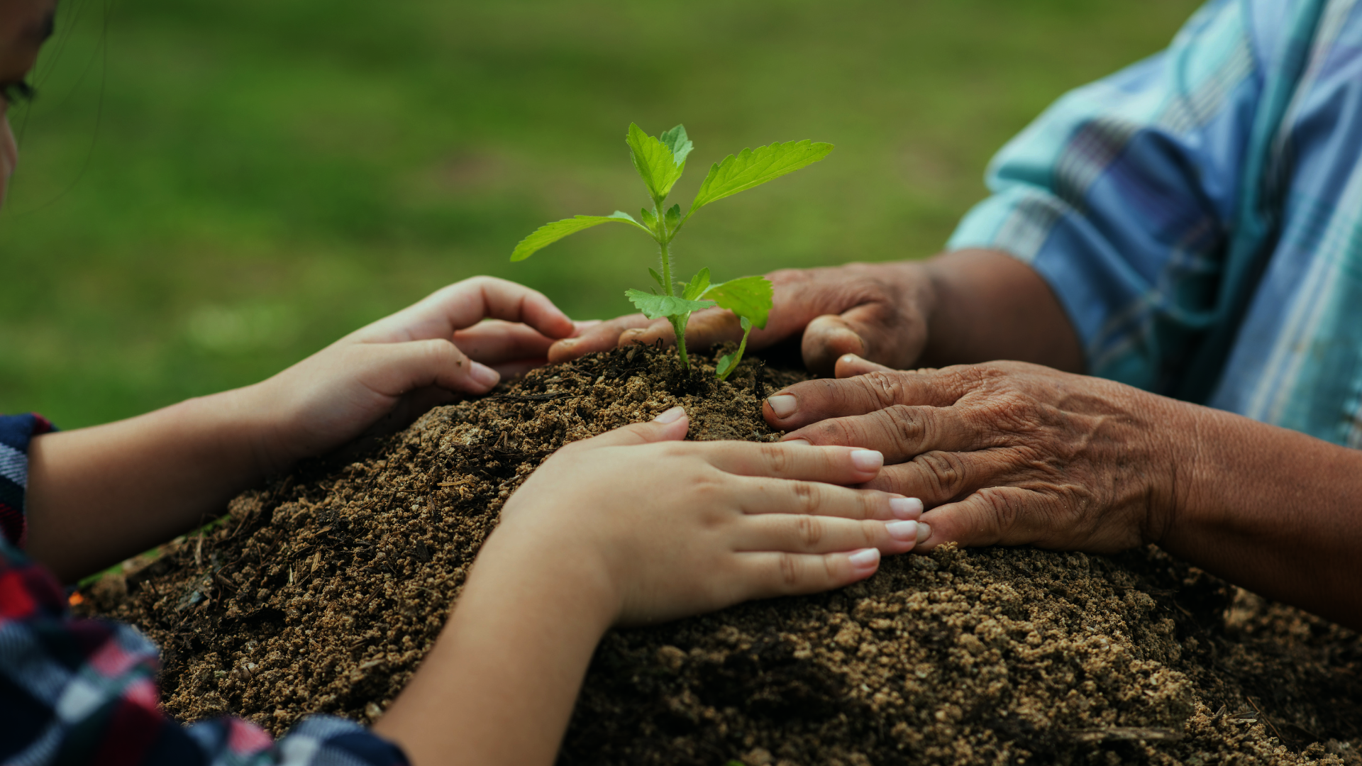 Leadership & Impact Fund: Scaling Local Solutions