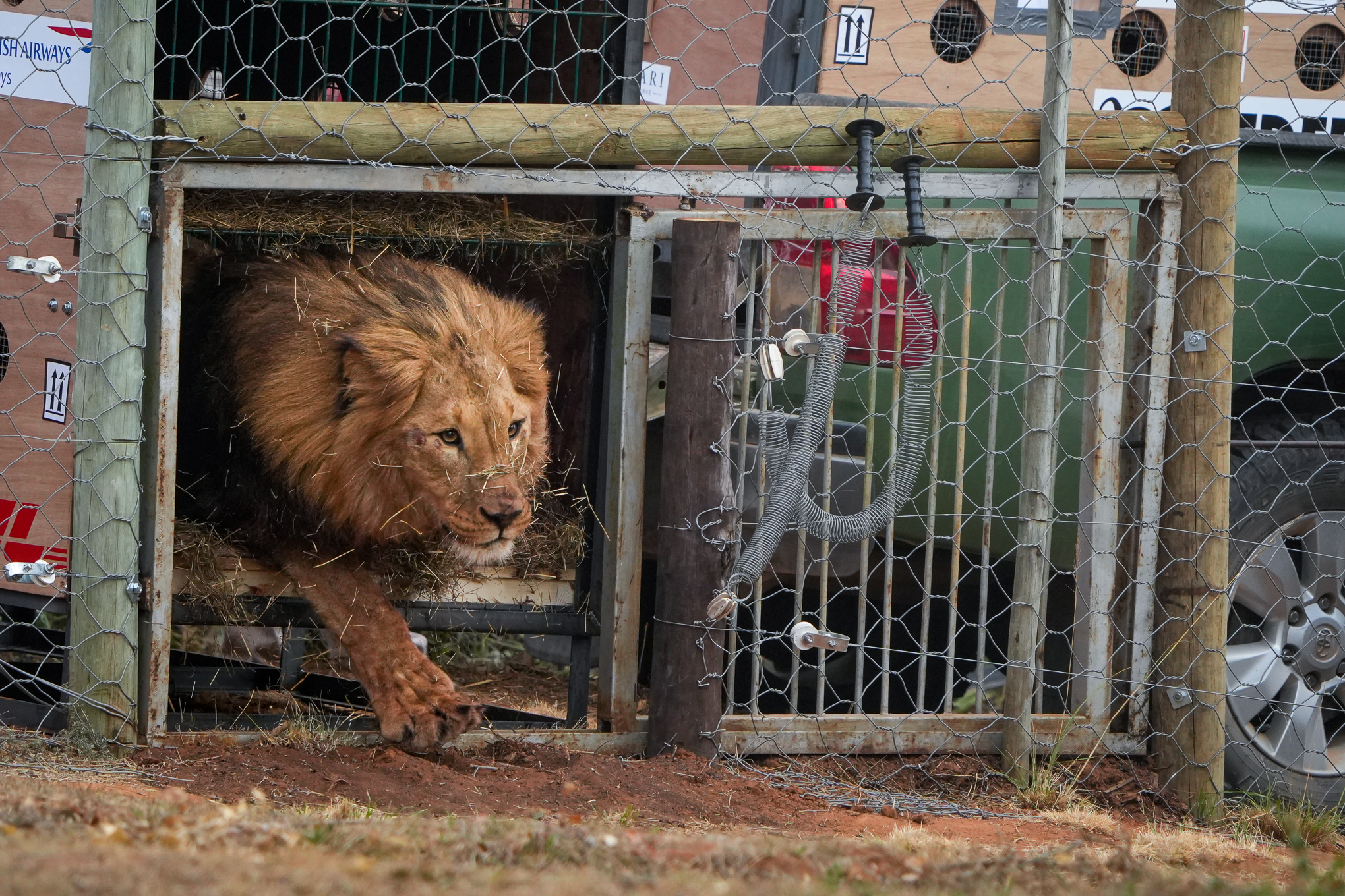 Born Free In Partnership With Shamwari