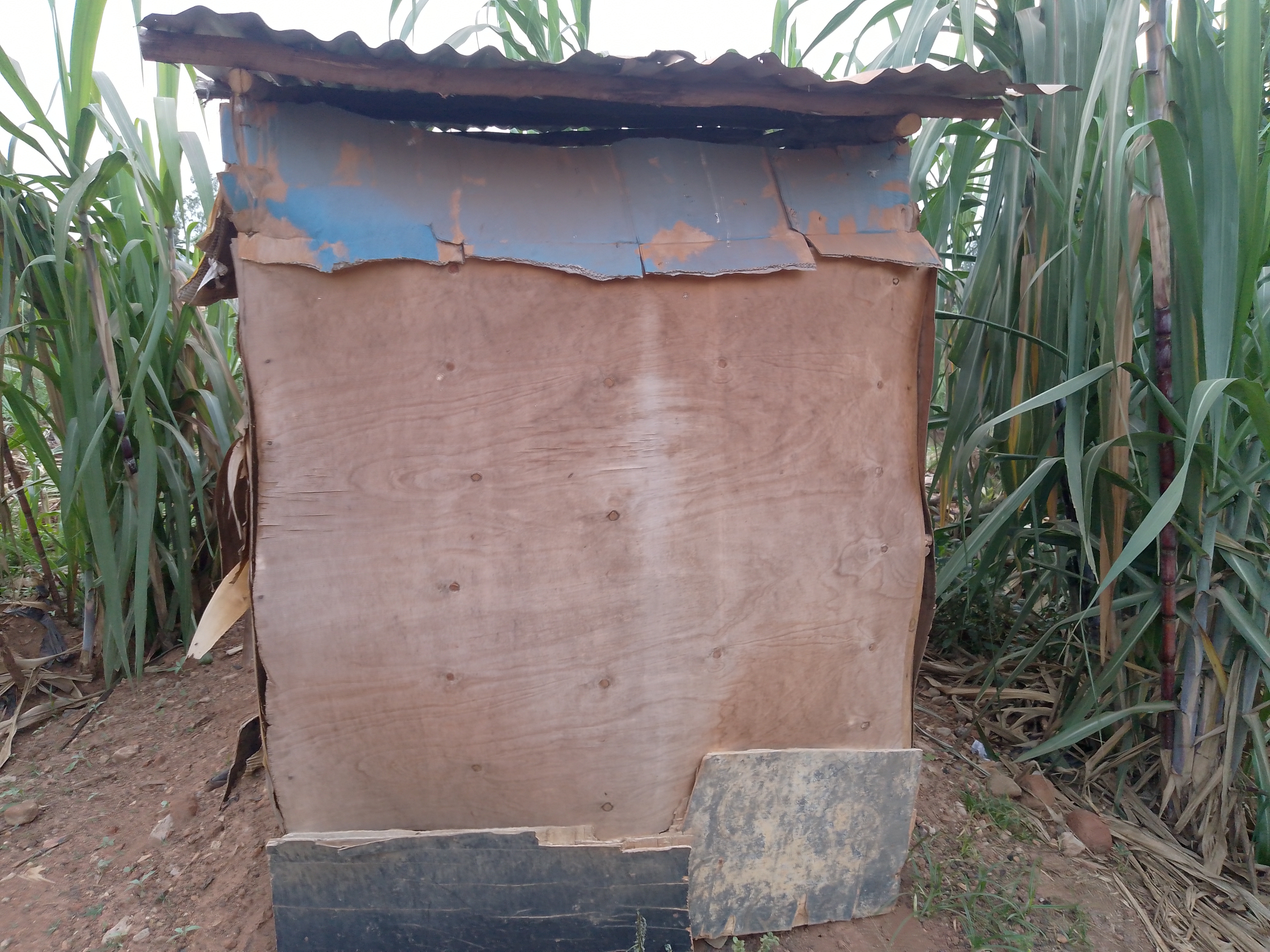 Support toilets for voluteers at Gaba hope for kid