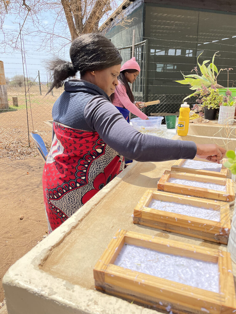 Jobs for 15 Women in South Africa, for Elephants!