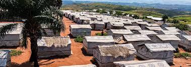 Critical Relief Needs in DRC