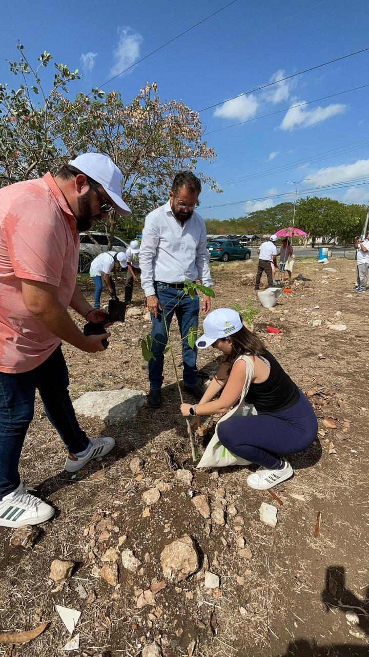 Grow 10,000 Native Trees to Cool Merida