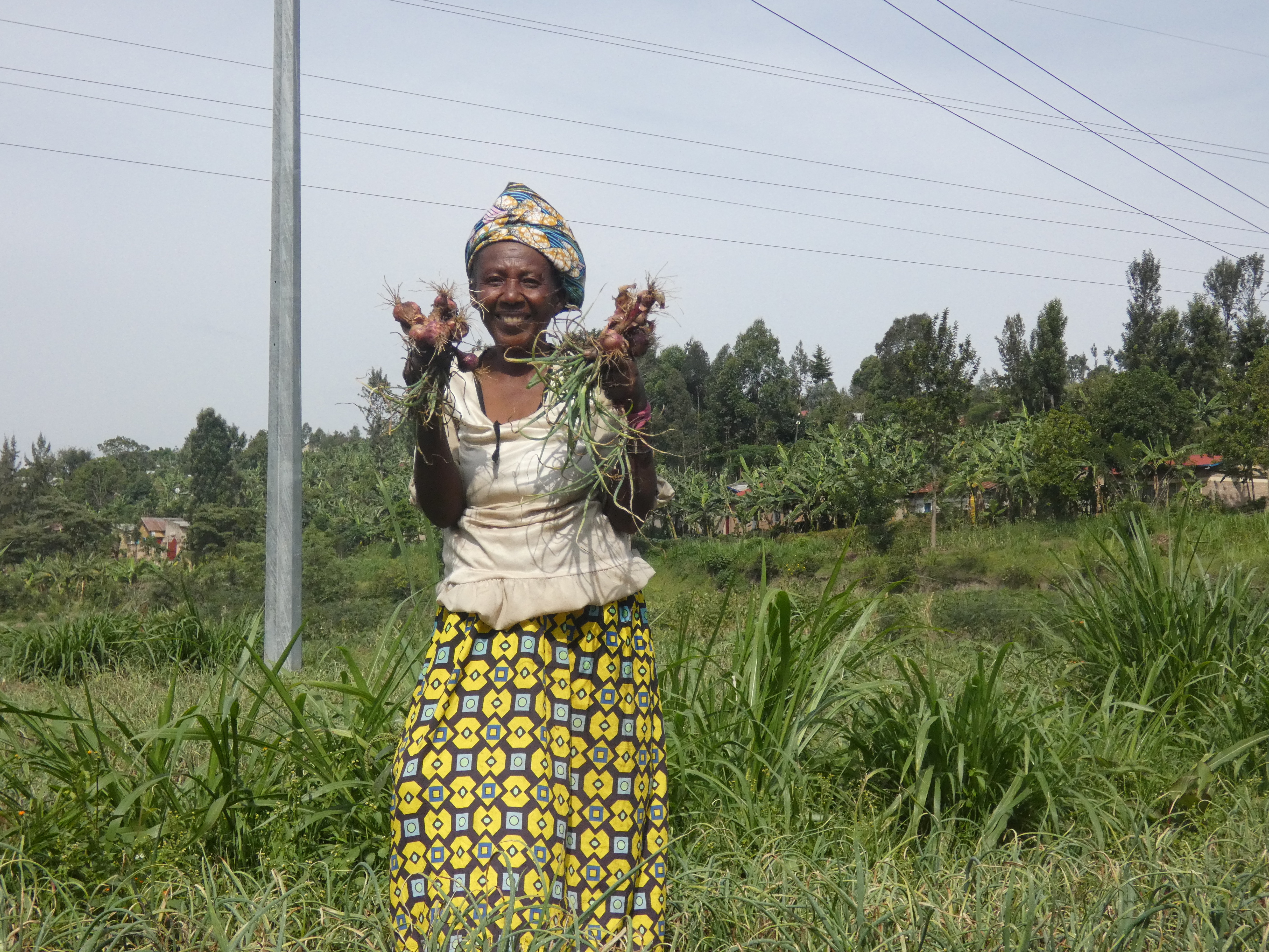 Support Dufatanye's Growing Imapct