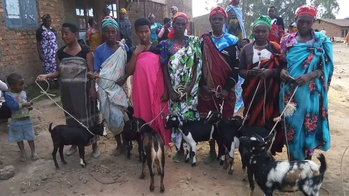Women's goats for the future community project