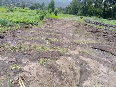 Kisoro community  conservation project