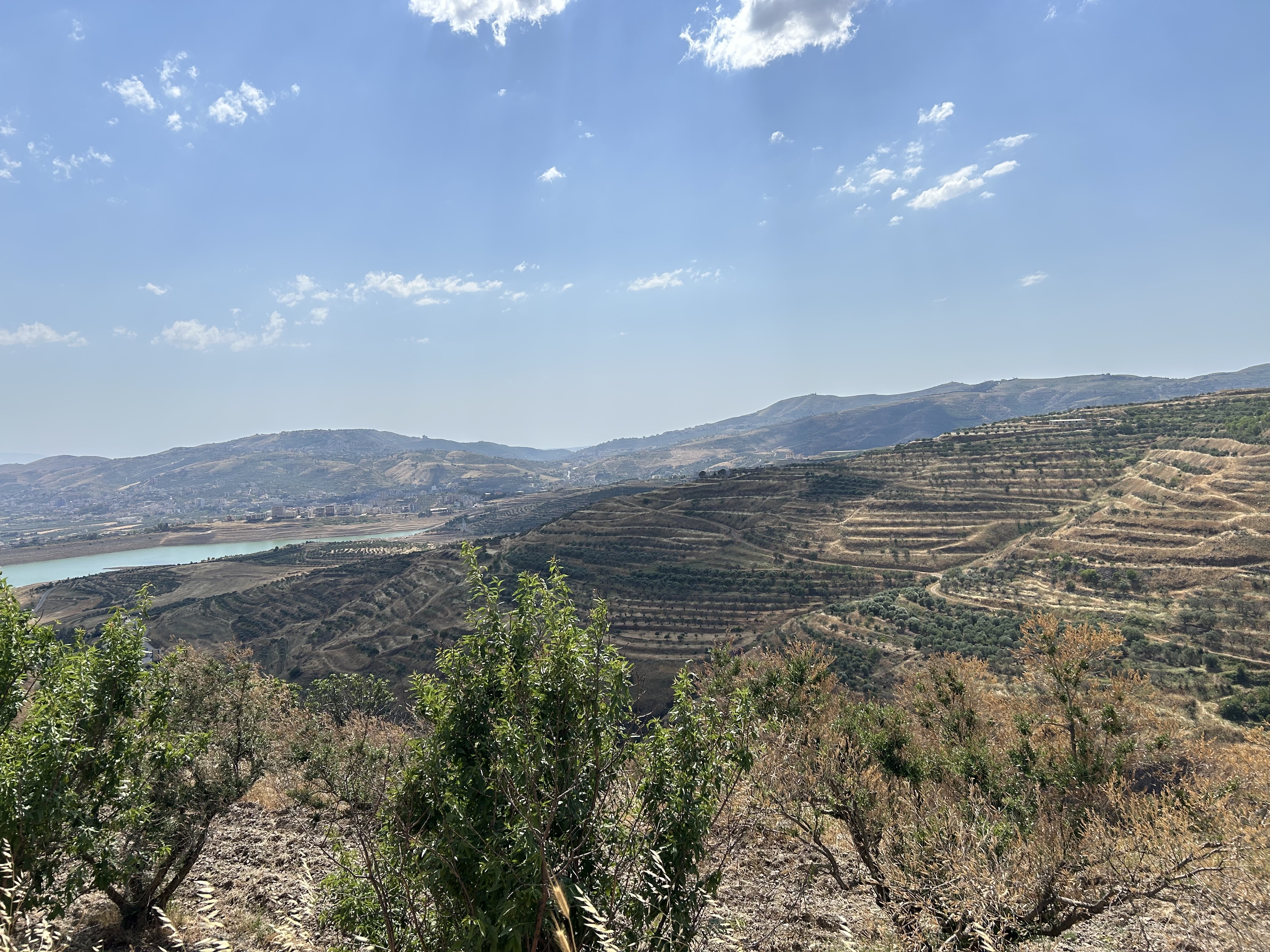 Enduring roots: replanting Christian Valley