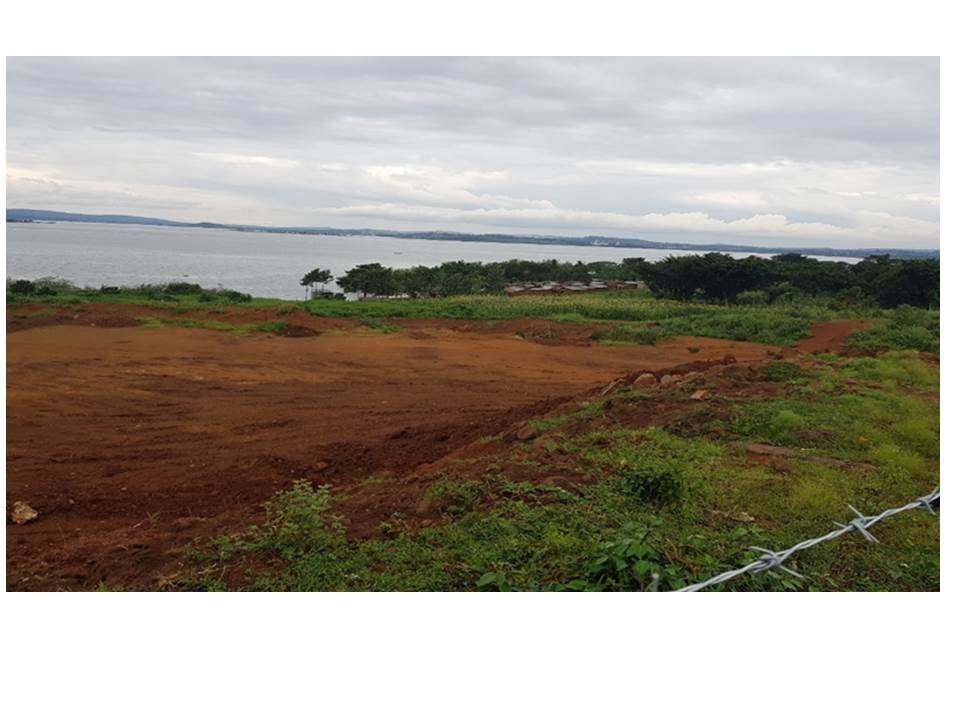 Restore 3,500 Hectares of Lake Victoria Shores