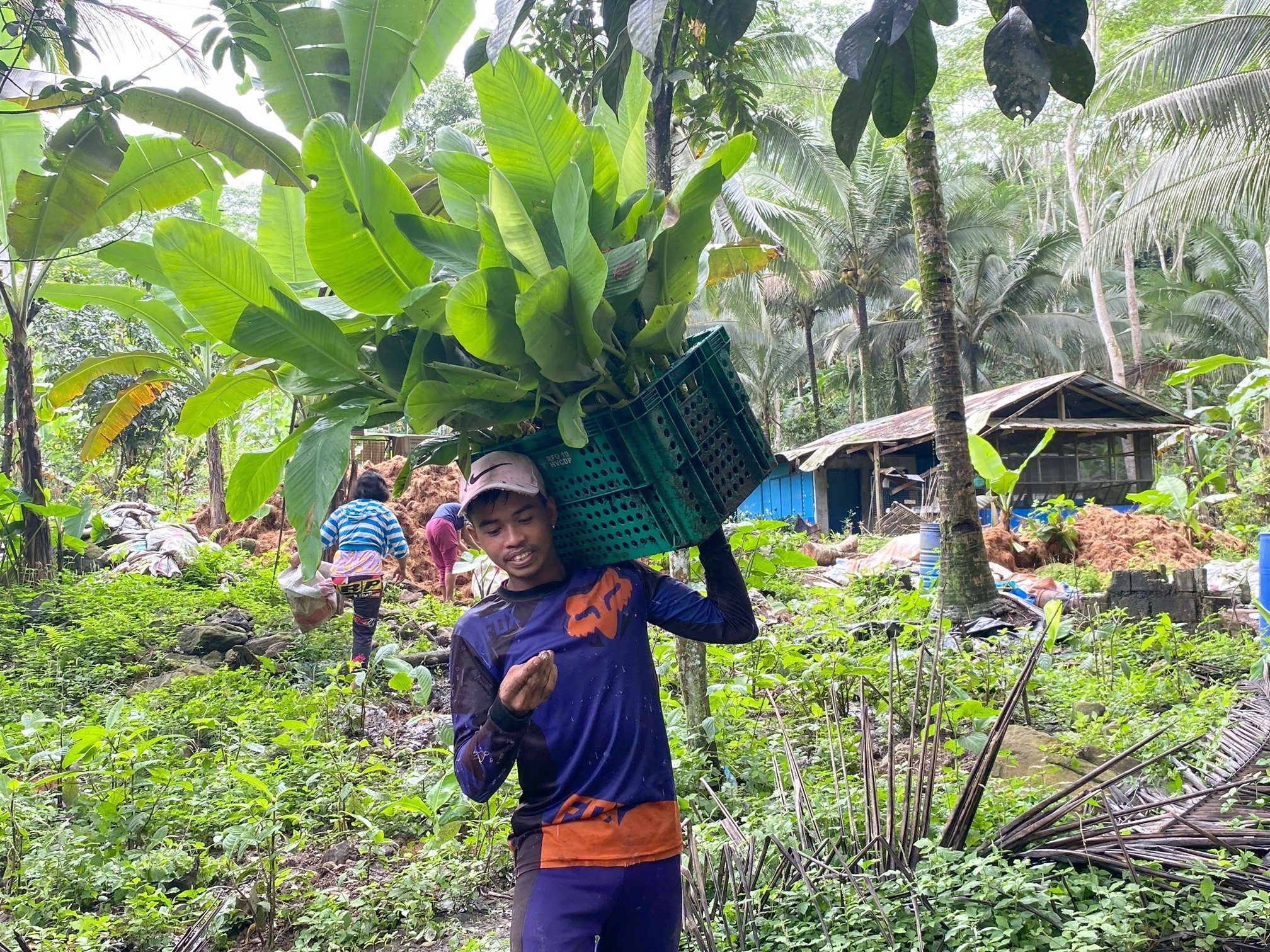 Empowering Farmers via Microloans