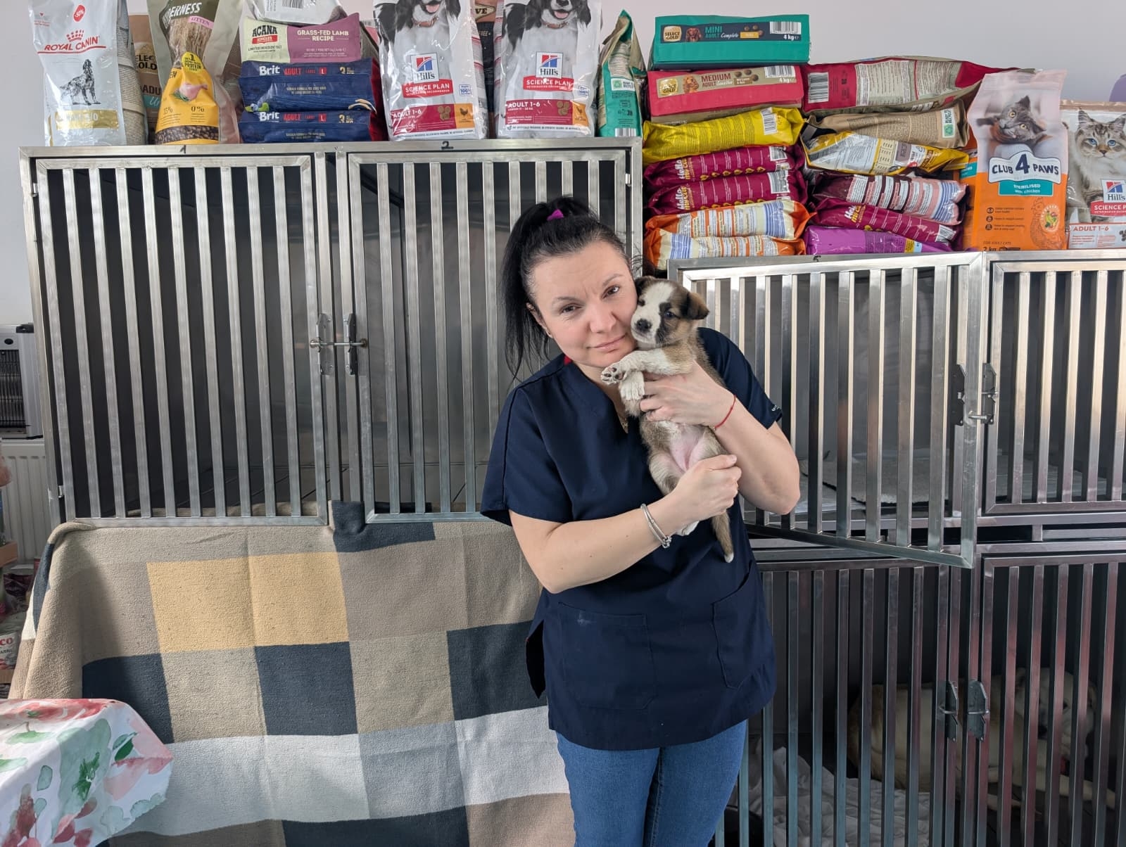 Healing Haven: Build a life-saving medical unit