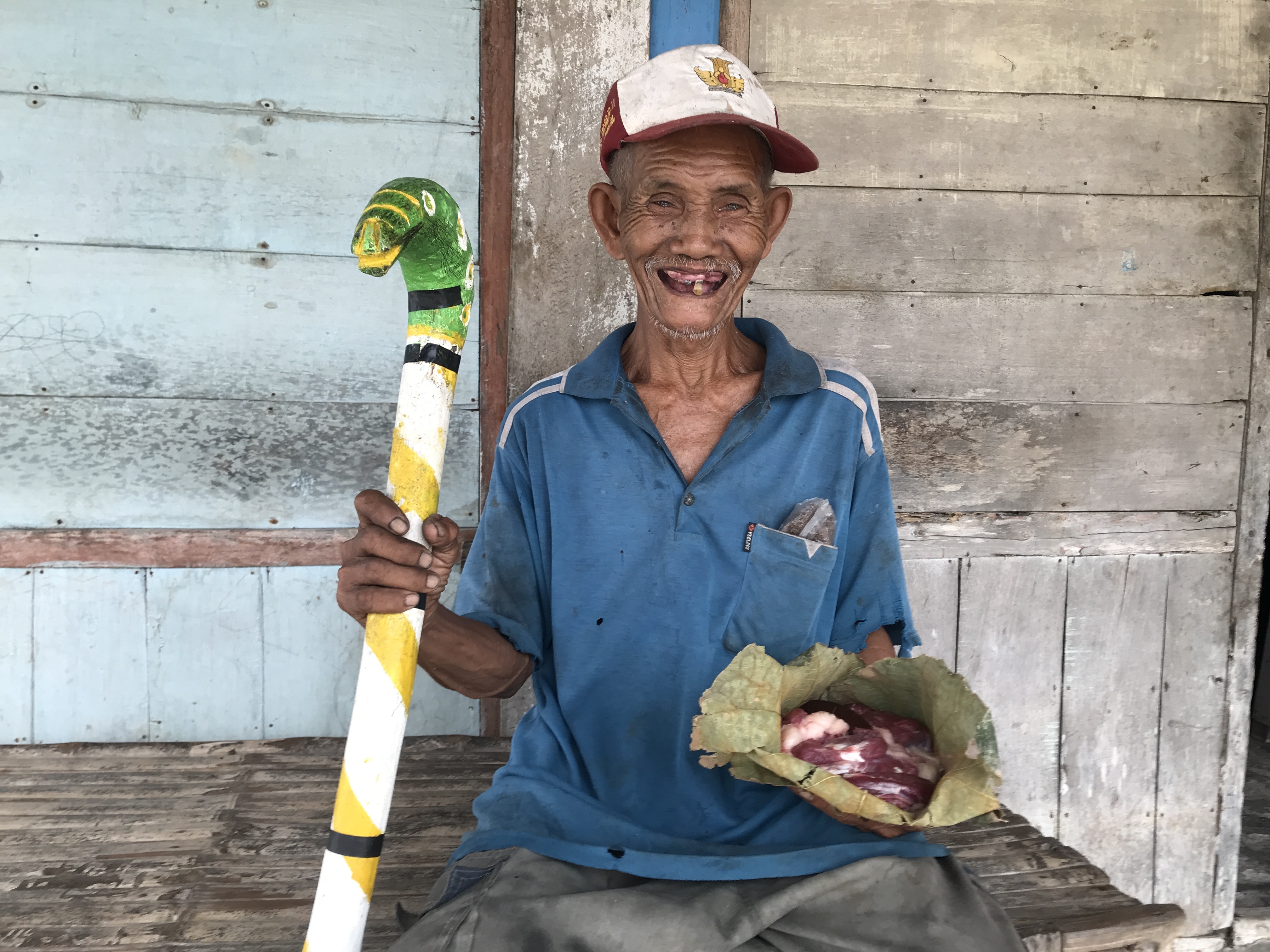 Meat for Healthier Elderly Lives