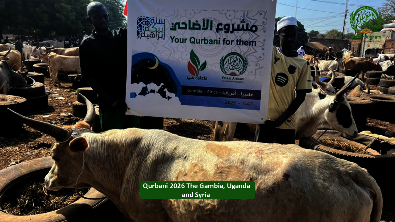 Share the Joy of Qurbani 2026 - Feed Thousands