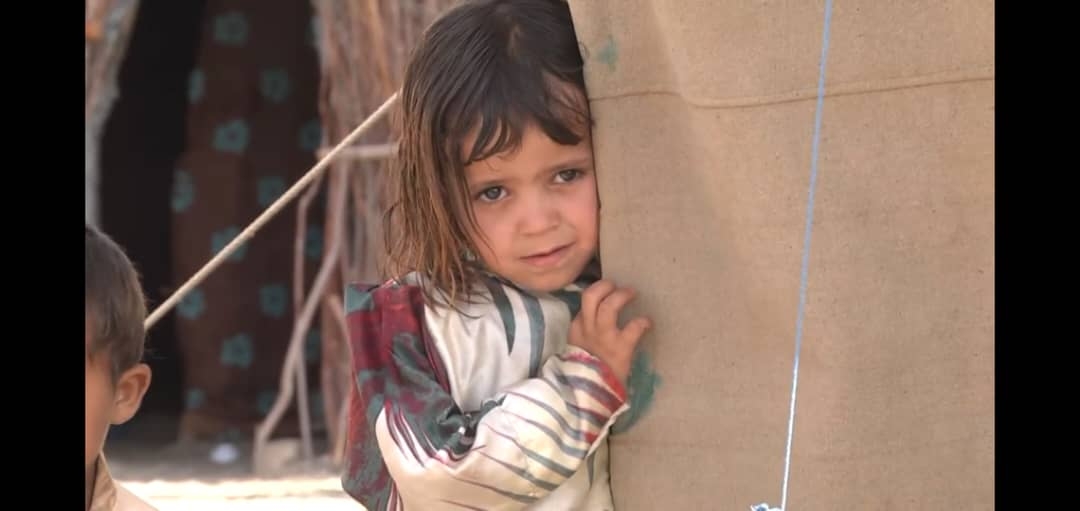 Women-Led Kitchen: Survival Meals in Marib Heat