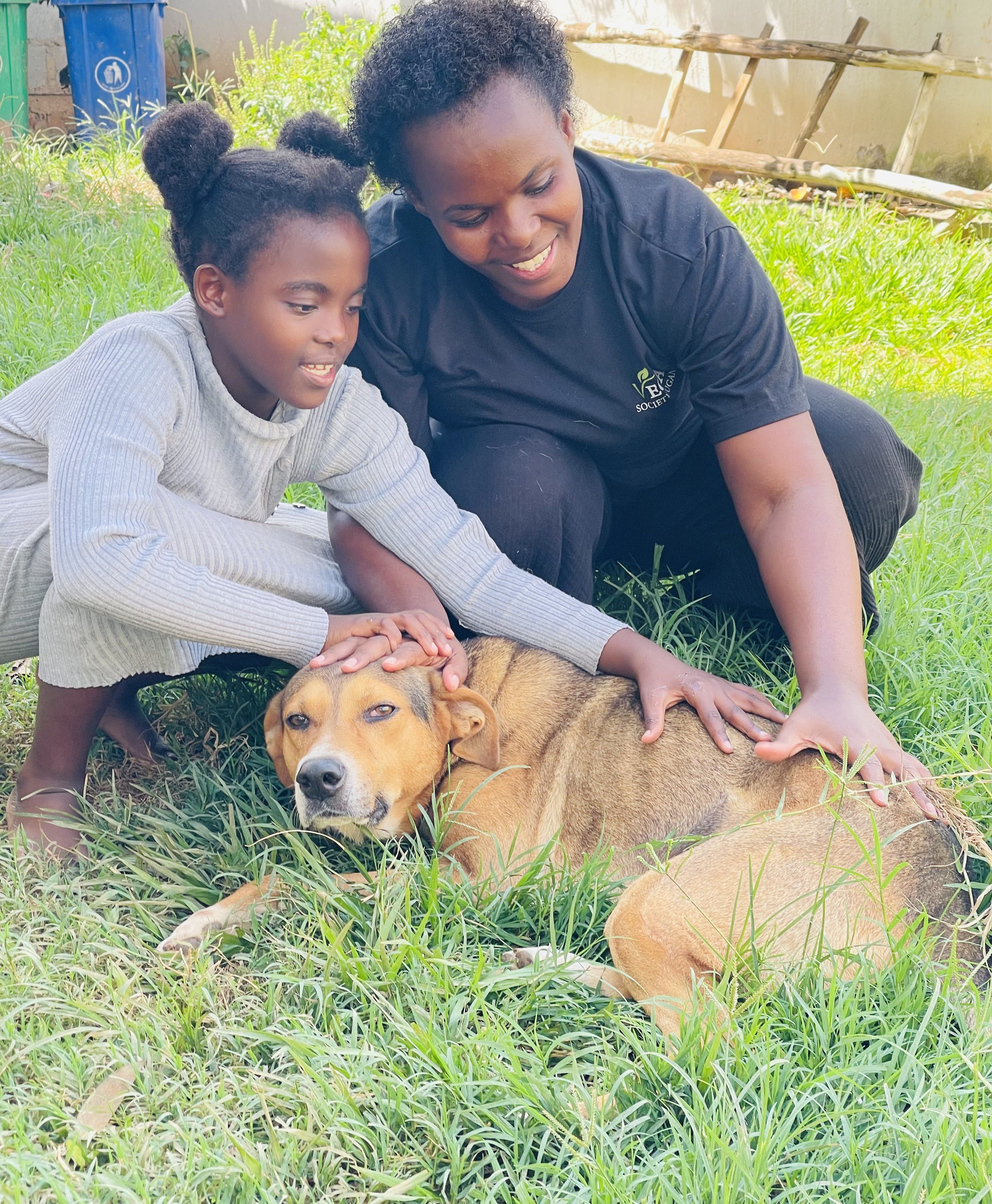 Animal Rescue & Rehabilitation Shelter