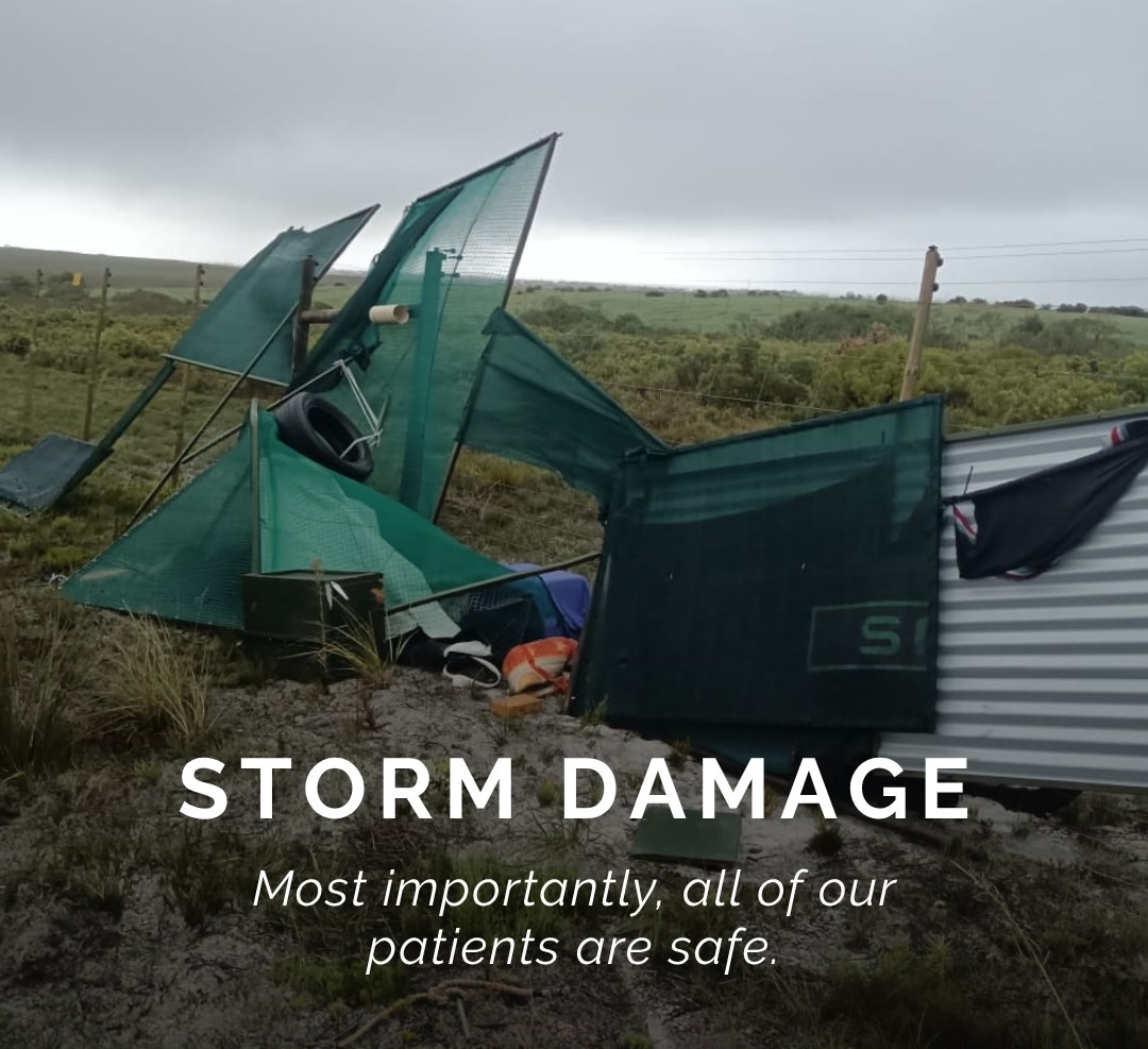 Kogelberg Storm Recovery Fund