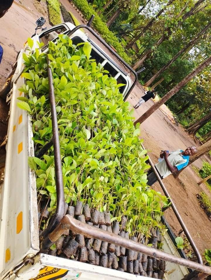 Regreen Central Tanzania: Conserve Water Sources