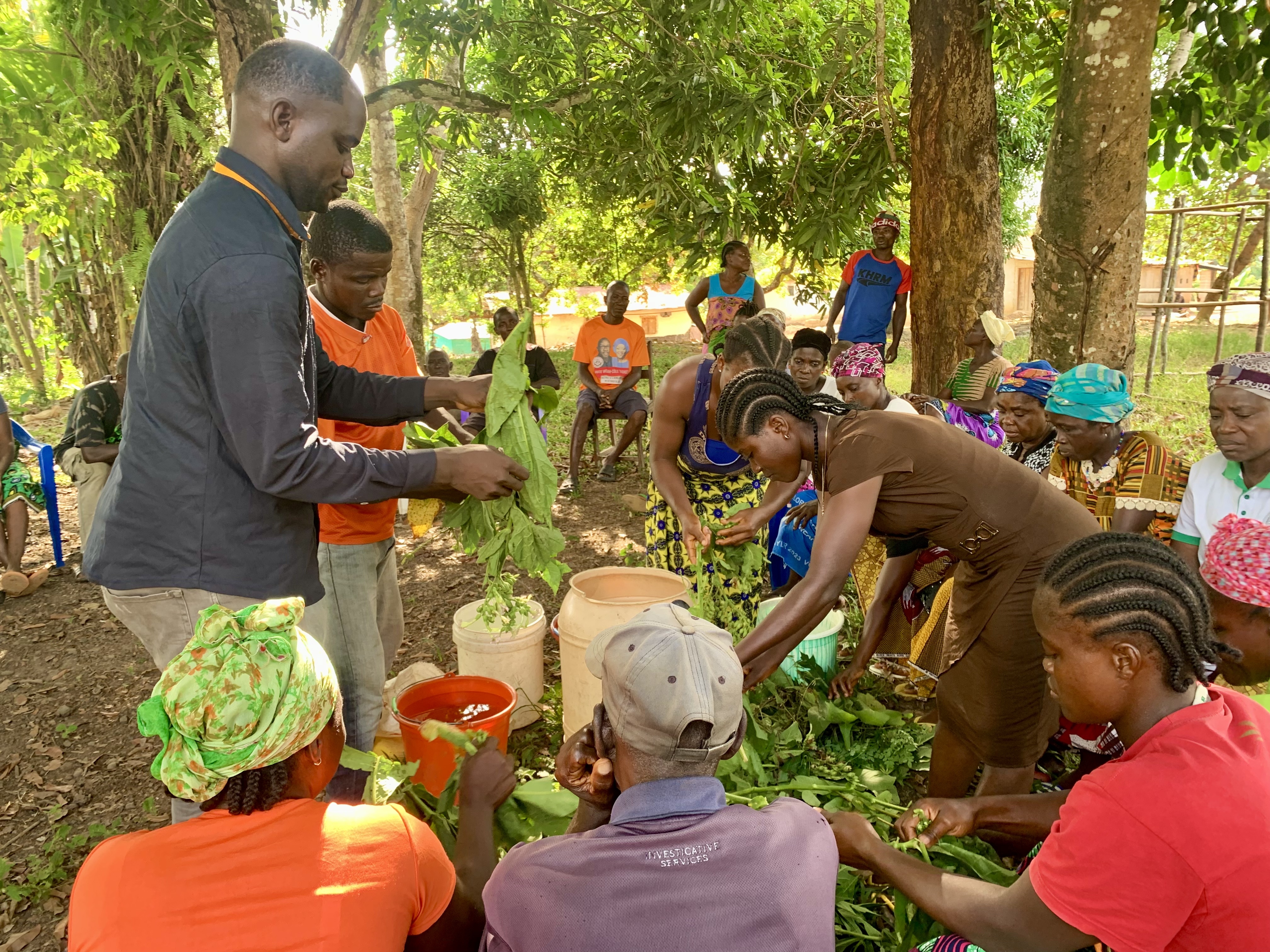 Strengthening Farmers' Adaptation in Liberia