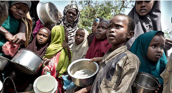 Feed Hungry Families in Northern Nigeria Crisis