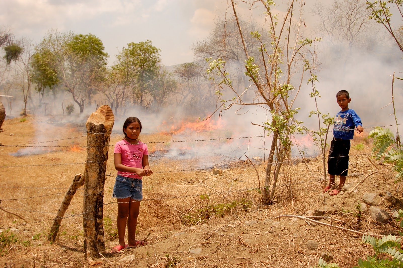 Emergency appeal - effects of El Nino