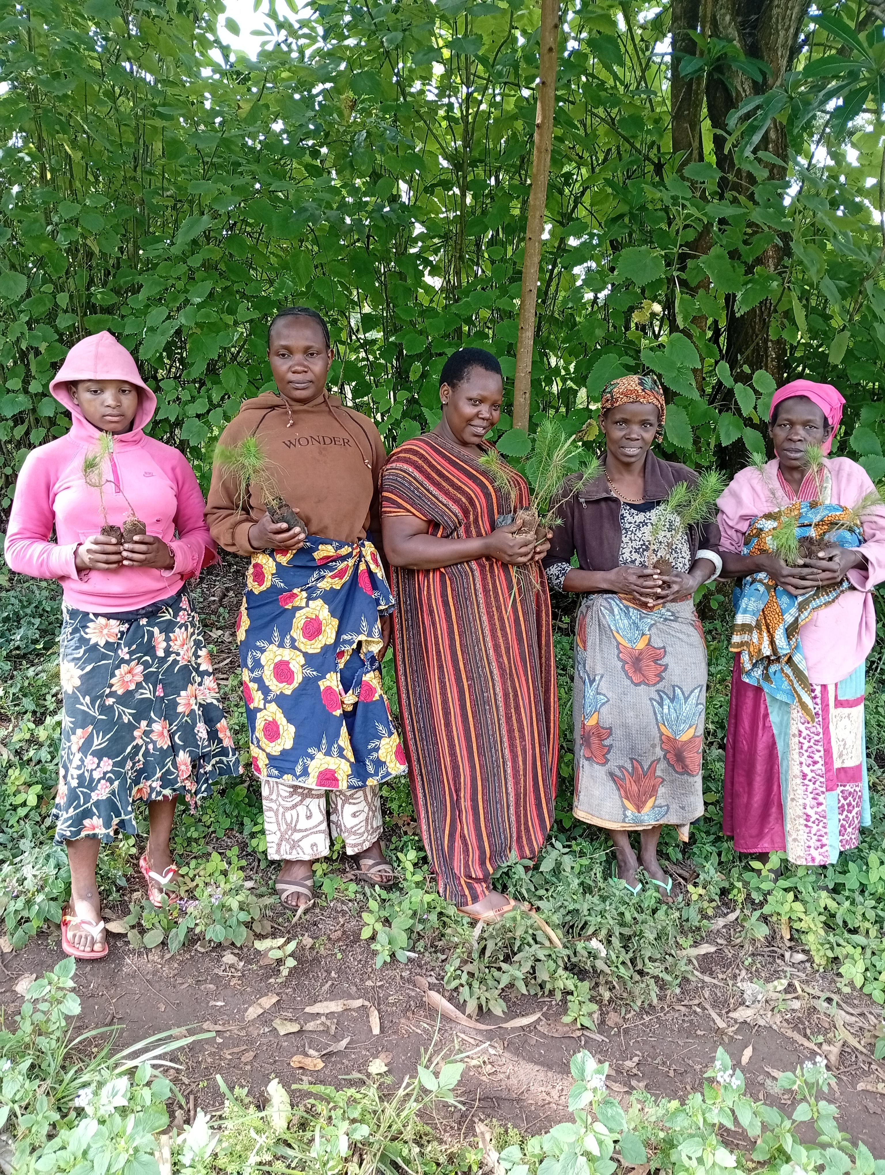 Support 7,000 Women Via Fruits Trees in Chalinze