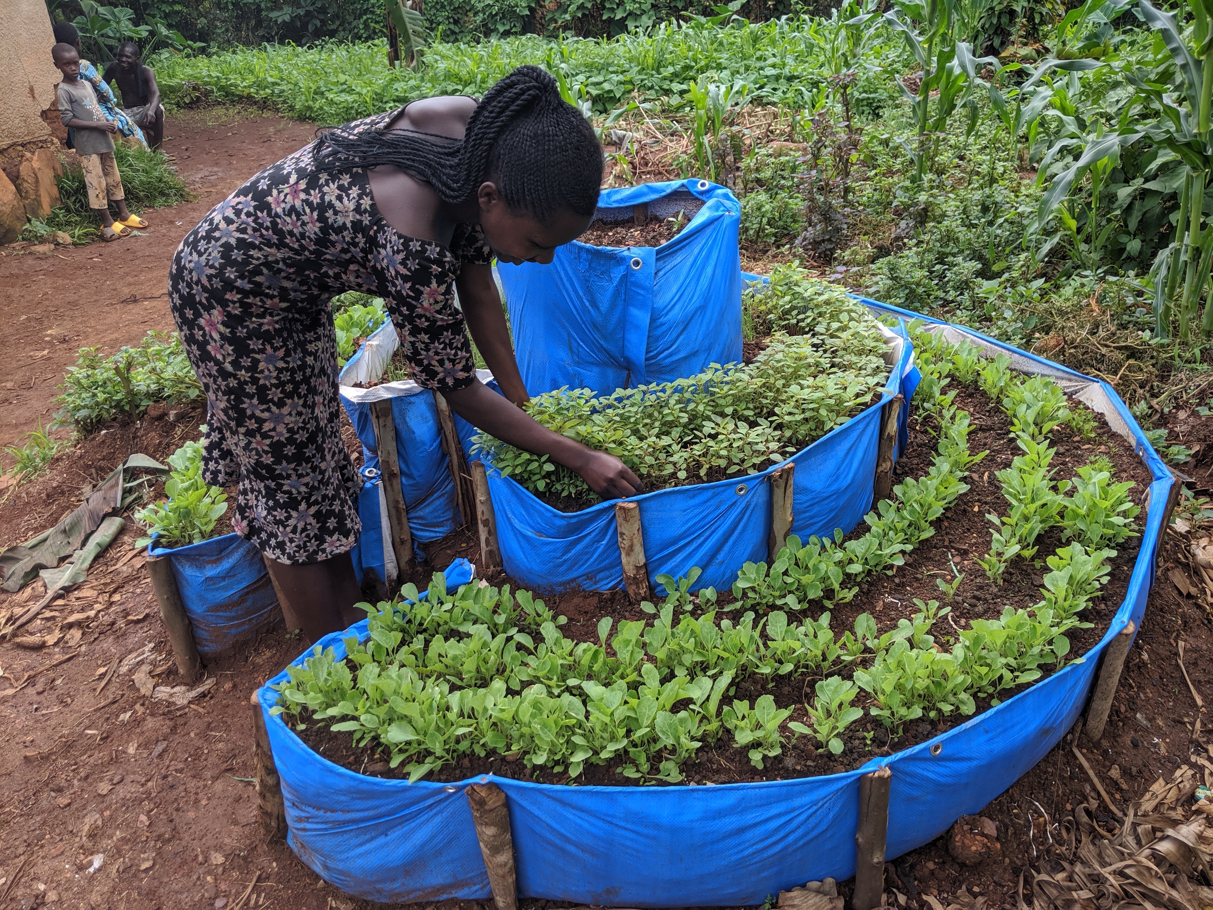 Strengthening Gardens for Teen Mothers in Kayonza