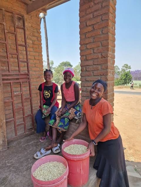 Sponsor Women: Maize Processing Tools in Tanzania