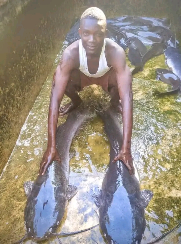 Fish farming grows in the DRC