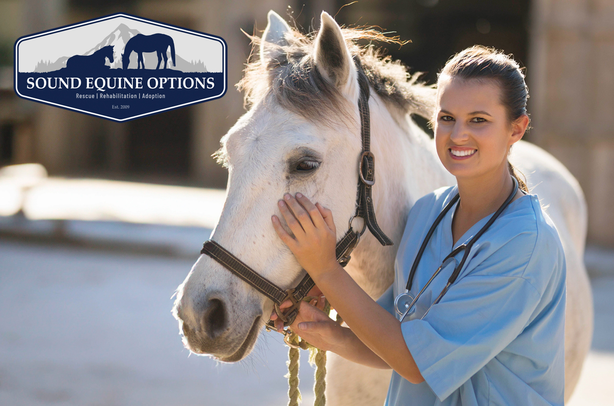 The Path to Recovery Starts with Veterinary Care