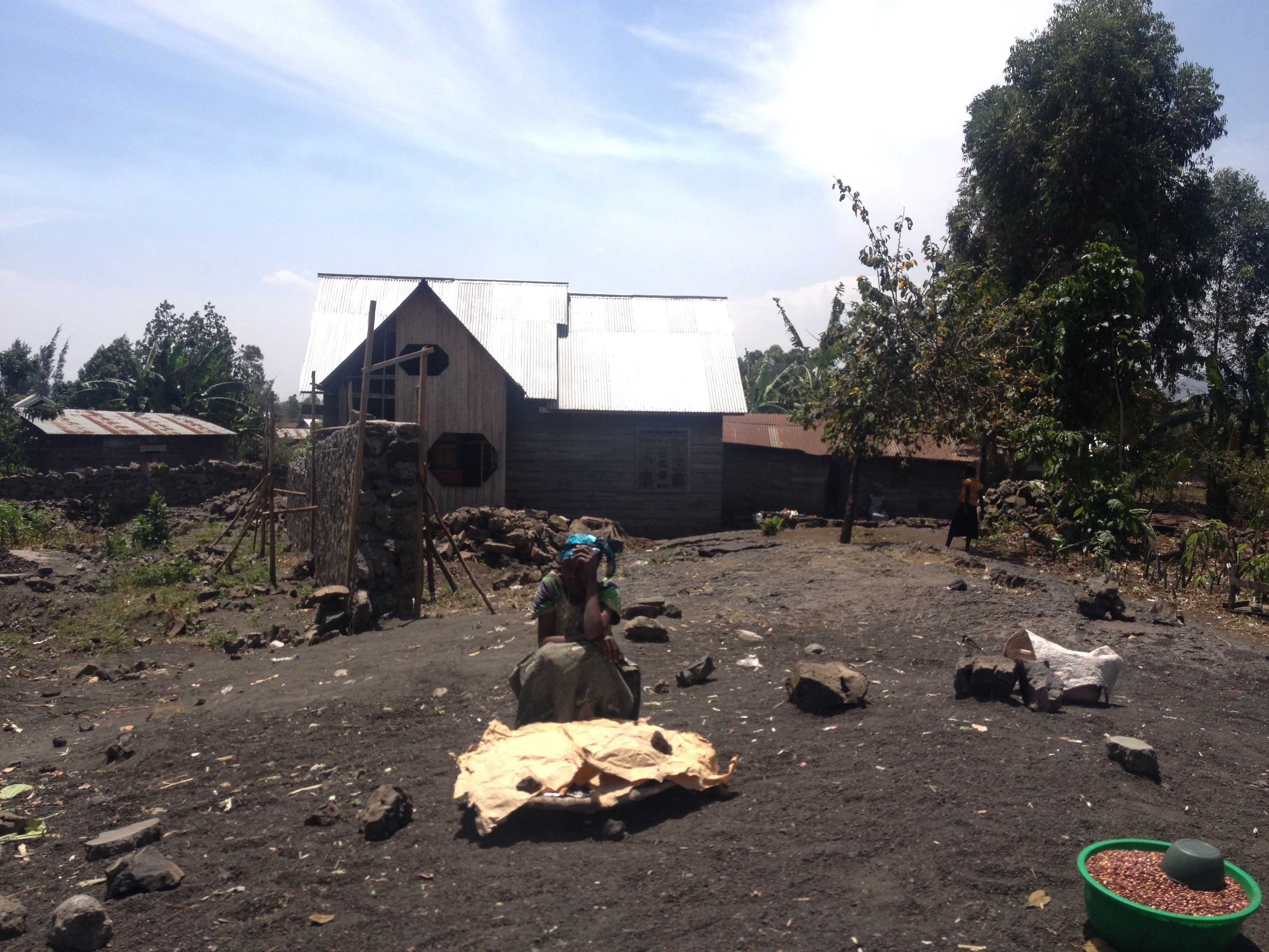 Project for Combating Deforestation and Forest Deg