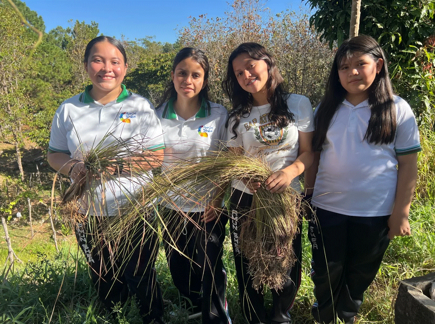BioRaiz: Youth Scientists Reviving Soil