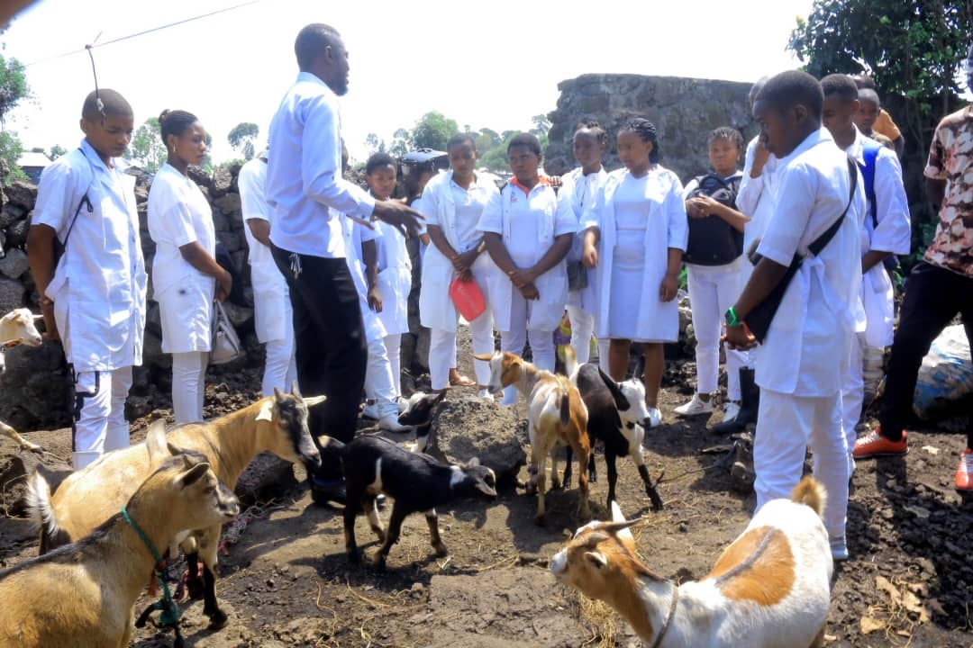 Donate Goats to Feed Orphans in Goma